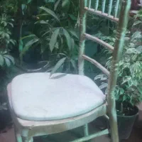 صندلی مجلسی شیواری 100عدد|صندلی و نیمکت|شیراز, بید زرد|دیوار