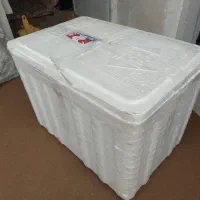 جایخی یخدان یونولیتی