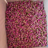 فروش غنچه گل محمدی لاله زار