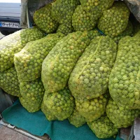 لیمو درجه یک