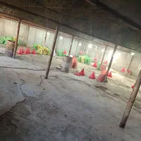 تجهیزات مرغداری