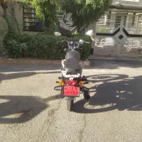 دینو 200|موتورسیکلت|تهران, پردیسان|دیوار