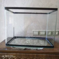 اکوایوم