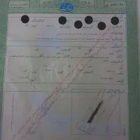 زمین-باغی-قیمت-مناسب-سند-تک-برگ