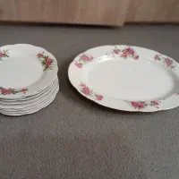 دکوری تزیینی شیرینی خوری و دیس گل رز سرخ