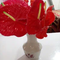 ضبط صوت وچند تا گلدون|حراج|رشت, شهرک صبا|دیوار