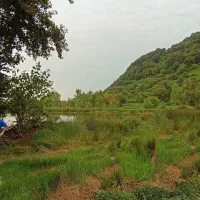 فروش و معاوضه زمین 180 متری جنب استخر ،لنگرود|فروش زمین و ملک کلنگی|لنگرود, |دیوار