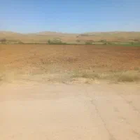 پنج-هکتار-زمین-آبی-مناسب-برای-سیب-زمینی-و