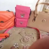 کیف مجلسی
