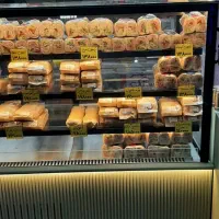 به چند همکار خانم و اقا نیازمندیم