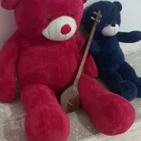 خرس برا فروش