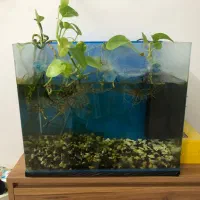 اکواریوم بالوازم وماهی