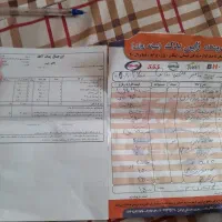 پژو 85|خودرو سواری و وانت|اردبیل, |دیوار