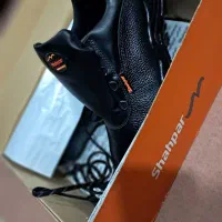 کفش کار شهباز