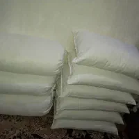بالشت