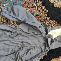 پالتو بارونی|لباس|اراک, |دیوار