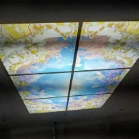 خدمات سیمکشی ساختمانی مسکونی تجاری با اصول مهندسی|خدمات پیشه و مهارت|ماکو, |دیوار