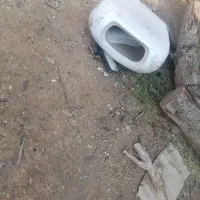 توالت فرنگی کامل|لوازم سرویس بهداشتی|شوشتر, |دیوار