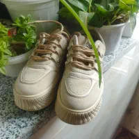 کفش|کیف، کفش، کمربند|لردگان, |دیوار