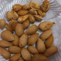 بادام کاغذی و سنگی