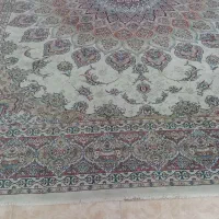 فرش مشهد|فرش|مشهد, فارغ التحصیلان|دیوار