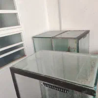 آکواریوم