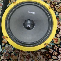 میدرنج دهنه ۸