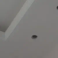 گچکار|خدمات پیشه و مهارت|قم, پردیسان|دیوار