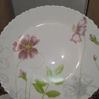 آرکوپال لومینارک