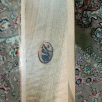 سنتور ویژه میثم علیپور|سازهای سنتی|تهران, بریانک|دیوار