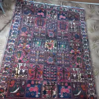 قالی دست بافت خشتی بختیاری|فرش|ایذه, |دیوار