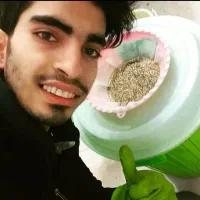 آموزش دوره بازیافت طلا بردهای الکتریکی تضمینی|خدمات آموزشی|قم, شهرک مهدیه (مدرس)|دیوار