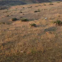 زمین ۴۰۰ متری