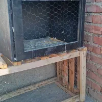 جفتگاه کبوتر