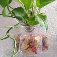 قندونبات وخرده نبات دمنوشی بسته 100گرمی و 200گرمی