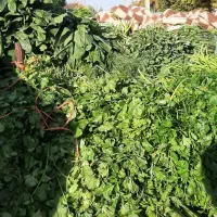 سبزی خورشتی  کامل