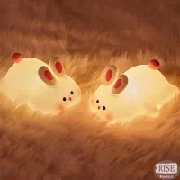 شبخواب سیلیکونی ضربه ای دارای مدل مختلف بدلیجات|چراغ خواب و آباژور|قم, ارم|دیوار