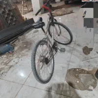 دوچرخه ۲۴ فروش فوری|دوچرخه، اسکیت، اسکوتر|شادگان, |دیوار