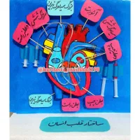 ماکت جابر ماکت طرح جابر کاردستی چرخه آب|مجسمه، تندیس، ماکت|مشهد, سیسآباد|دیوار