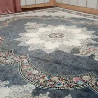 چها تخته فرش هفتصدشانه|فرش|سراوان, |دیوار