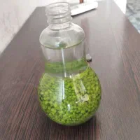 سبزه