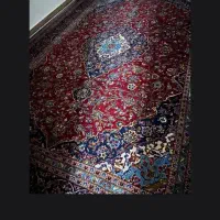 فرش دستباف وماشینی|فرش|میاندوآب, |دیوار