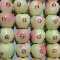 توزیع پخش میوه و تره بار با کمترین قیمت|خوردنی و آشامیدنی|تهران, میدان میوه و ترهبار مرکزی|دیوار