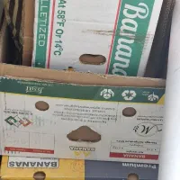 کارتن موز برای اساس کشی