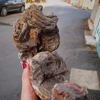 سنگهای عقیق و کوارک و فسیلی و فیروزه تزئینی|صنایع دستی و سایر لوازم تزئینی|بندر انزلی, پردیس|دیوار