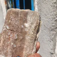 سنگ فسیل
