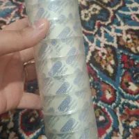 گربه عکس های بعدی|گربه|کوهدشت, |دیوار