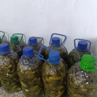 خیار شور|خوردنی و آشامیدنی|سردرود, |دیوار