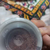 غذای گلدفیش تروپیکال|ماهی|فردیس, منظریه|دیوار