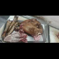 قصاب * گوسفند زنده*سلاخ در محل*کله پاچه پاک میکنیم|خدمات پذیرایی، مراسم|ملایر, |دیوار